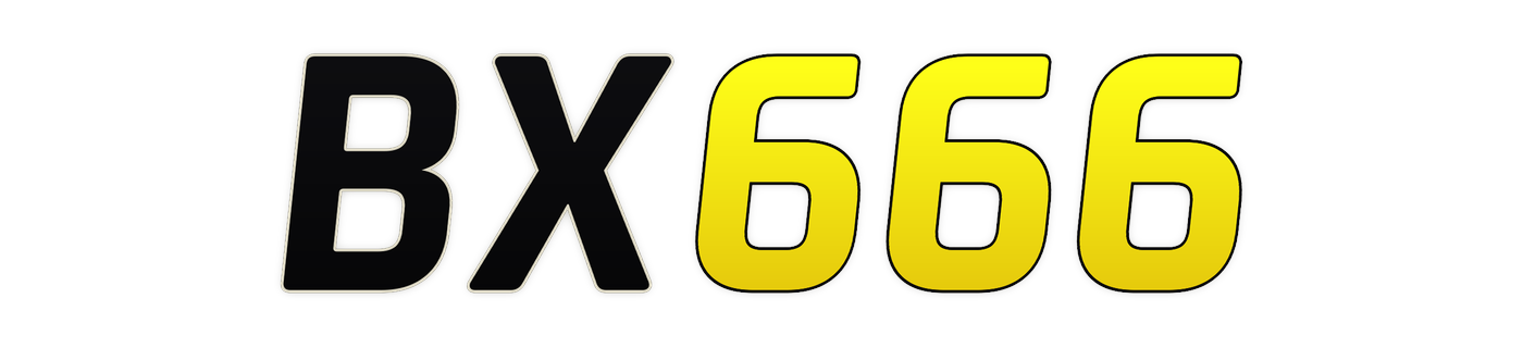 bx666